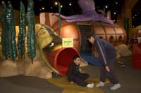 Grossology