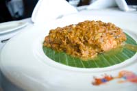 Salmon_1_0