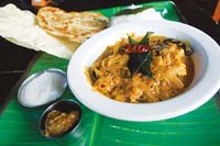 dosa