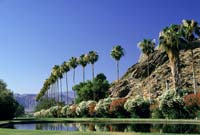 Vacation-homes-an-easy-investment-in-Palm-Springs
