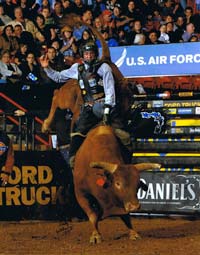 Top 10 things to do at the Cloverdale Rodeo