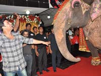 akshay-kumar-contemplating-to-sit-on-the-elephant-for-the-premier-of-thank-you-at-chandan