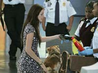 Flying-has-lost-its-glamour-with-post-9_11-security-rules