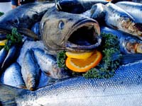 Pacific-Gateway-key-to-growing-Asian-markets