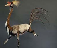Asian wildlife artist jailed