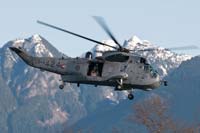 sea-king