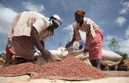 Let's-work-together-for-global-food-security