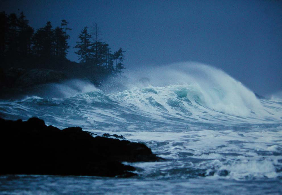 Big Wave Mark Hobson 2003
