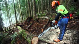 Canada's-forgotten-resource