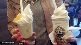 Foodology_Soft-Peaks-Ice-Cream