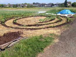 Theatre-teaches-children-about-farming