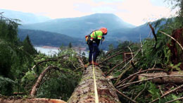 Resource-sector-powers-most-things-made-in-BC