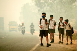 Climate-change-diet-change-will-kill-millions_report