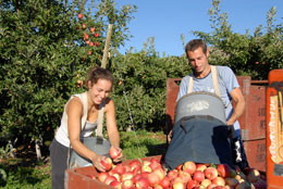 Giving-British-Columbia-a-future-in-organic-farming
