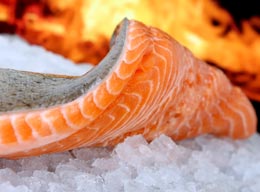 BC-on-track-to-set-records-for-exporting-farm-raised-salmon
