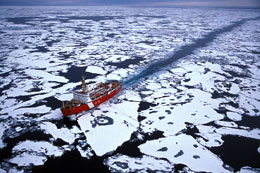 A-chill-on-the-much-hyped-Artic-route
