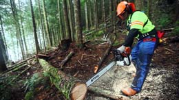 BC-resources-key-to-living-in-a-material-world