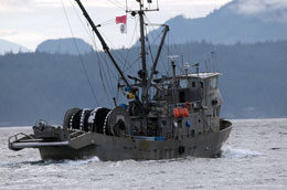 World-Oceans-Day-is-about-environment-and-economy