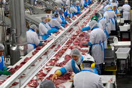 Immigrants-are-the-solution-to-Canada's-labour-shortage