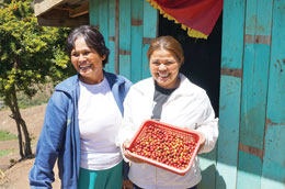 Women-in-Asia-lead-the-way-in-businesses-to-aid-society_for-APP