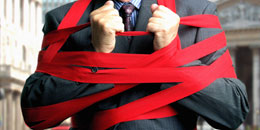 Small-business-bear-down-on-red-tape