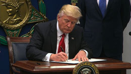 Immigration-has-nothing-to-do-with-terrorism