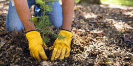 Why-your-pension-depends-on-natural-resources