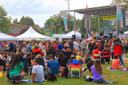 New-festival-celebrates-Latin-African-and-Caribbean-cultures-in-music