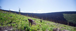 How-resources-continue-to-make-BC-a-beacon-of-responsible-prosperity