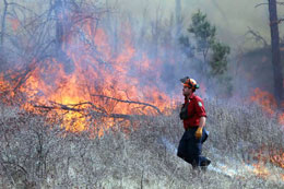 Make-a-commitment-to-emergency-preparedness