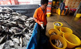Sustainable-seafood-farms-can-help-Asias-oceans