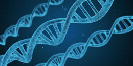 Canada-using-DNA_ancestry-websites-to-investigate-migrants
