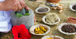 Health-Canada-issues-Ayurvedic-clinic-warning
