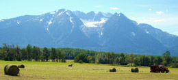 Protecting-BC-Farmland-and-supporting-farmers