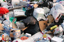 Vancouver-will-dispose-of-1500-tonnes-of-waste-returned-from-Philippines
