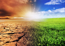 We-need-real-leadership-now-to-calm-climate-change