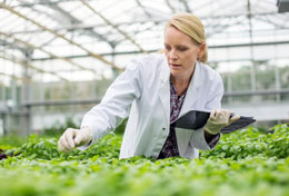 We-need-more-women-driving-agri-food-innovation