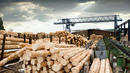 BCs-biggest-economic_business-stories-of-2019