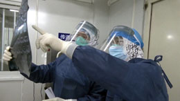 Covid-19-impact-worse-than-SARS-in-2000