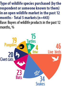 World-leaders-urged-to-ban-wildlife-markets
