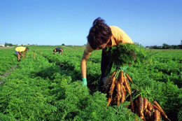 Foreign-workers-needed-to-fight-COVID-19-virus