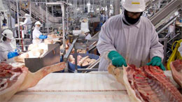Canadas-rising-food-insecurity-problem