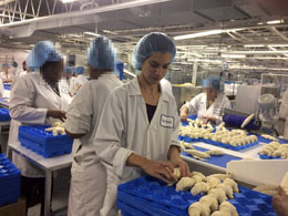 Canadas-food-security-depends-on-policy-shifts