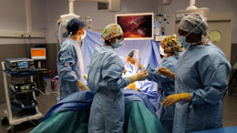 Patients-need-doctors-to-speak-up+regulators-want-them-to-shut-up