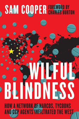 About-the-book-Wilful-Blindness