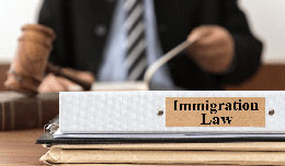 Immigration-consultants-fire-salvo-against-lawyers