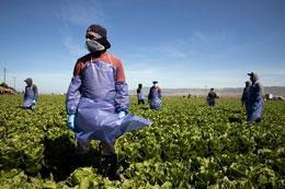 Immigrants-are-not-okay-in-rural-Canada_report