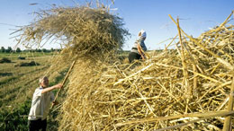 Putins-war-to-upend-global-agri-food-industries