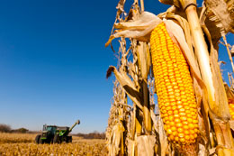 Putins-War-puts-global-food-security-in-jeopardy