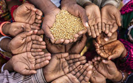 Dont-blame-climate-change-for-food-shortage